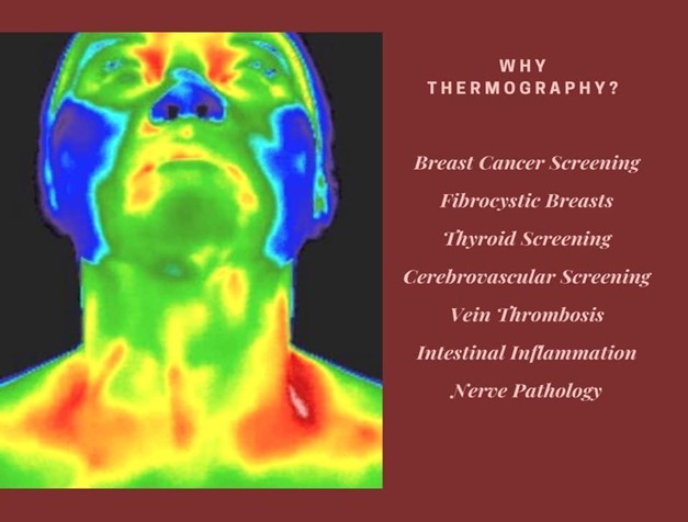 Discovering Wellness: The Power of Thermography and Whole Food Nutrition
