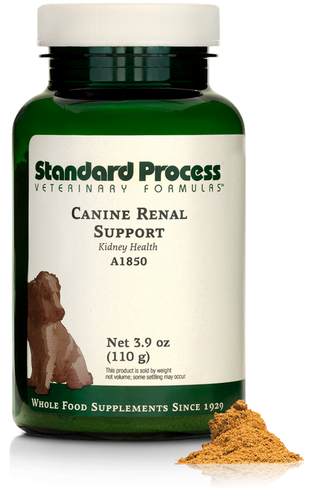 
                  
                    Canine Renal Support, 110 g
                  
                