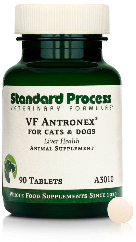 
                  
                    VF Antronex® for Pets, 90 Tablets
                  
                
