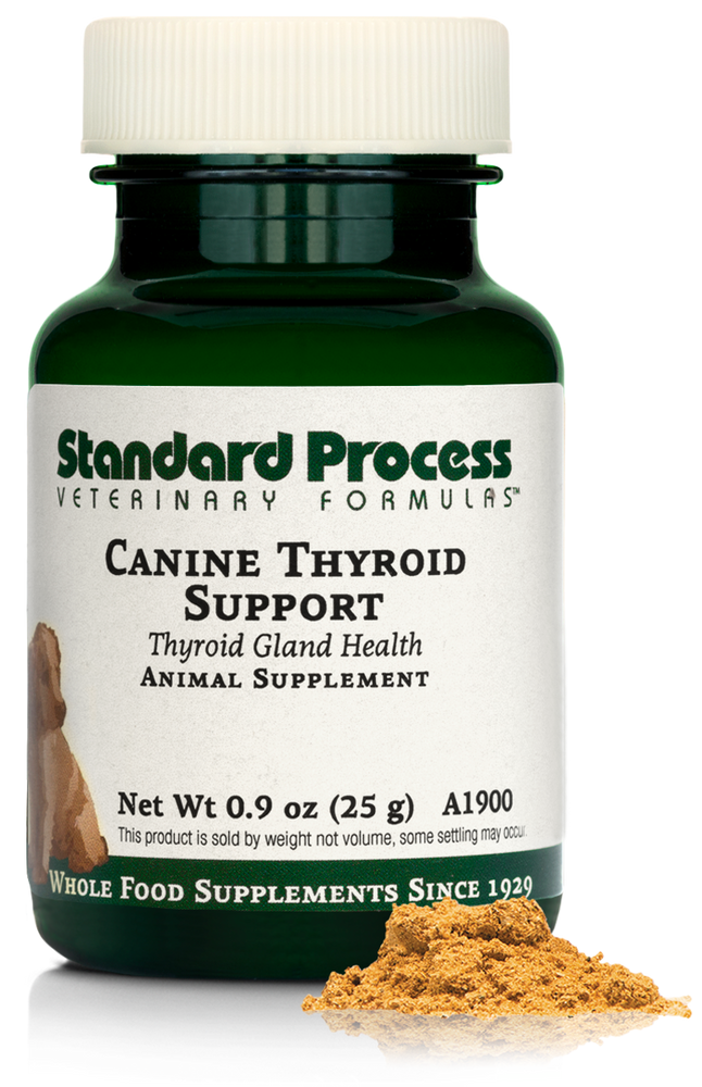 
                  
                    Canine Thyroid Support, 25 g
                  
                